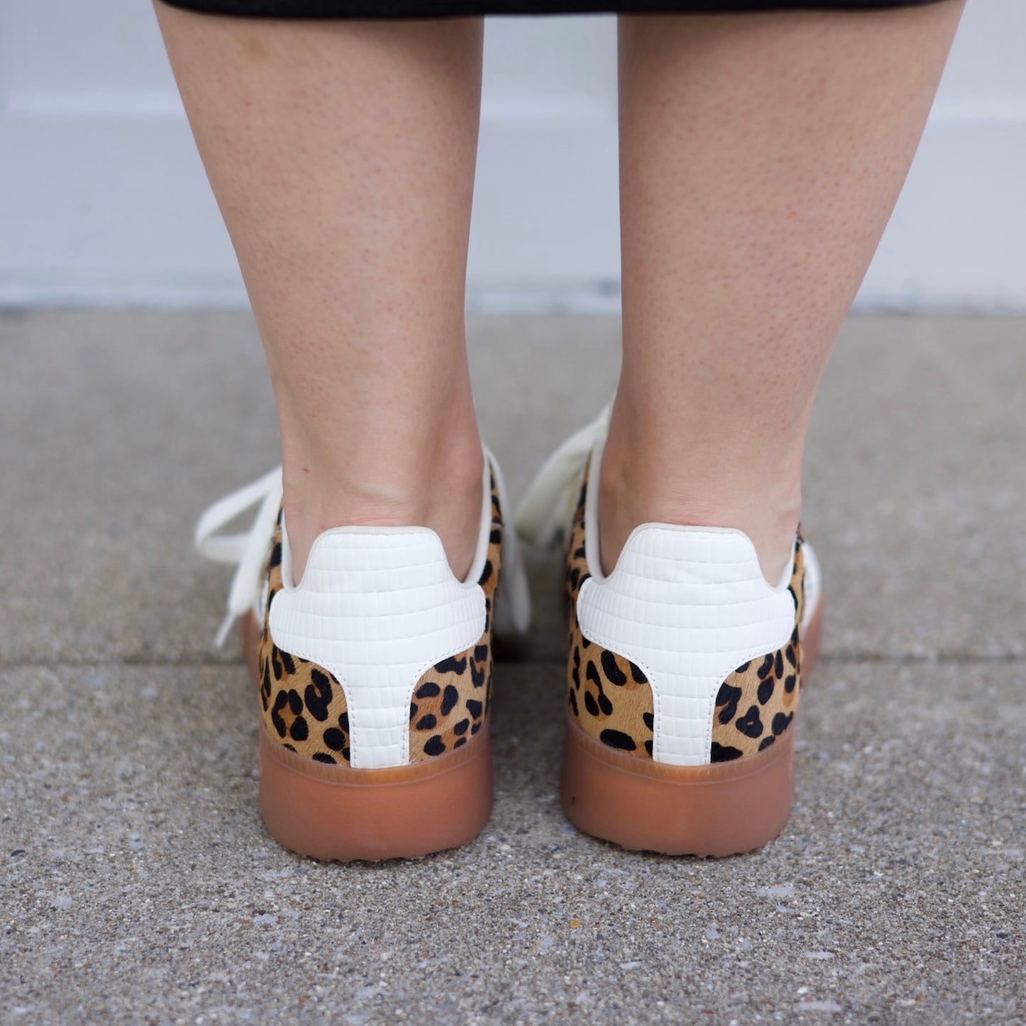 Back 70 Boston - Leopard