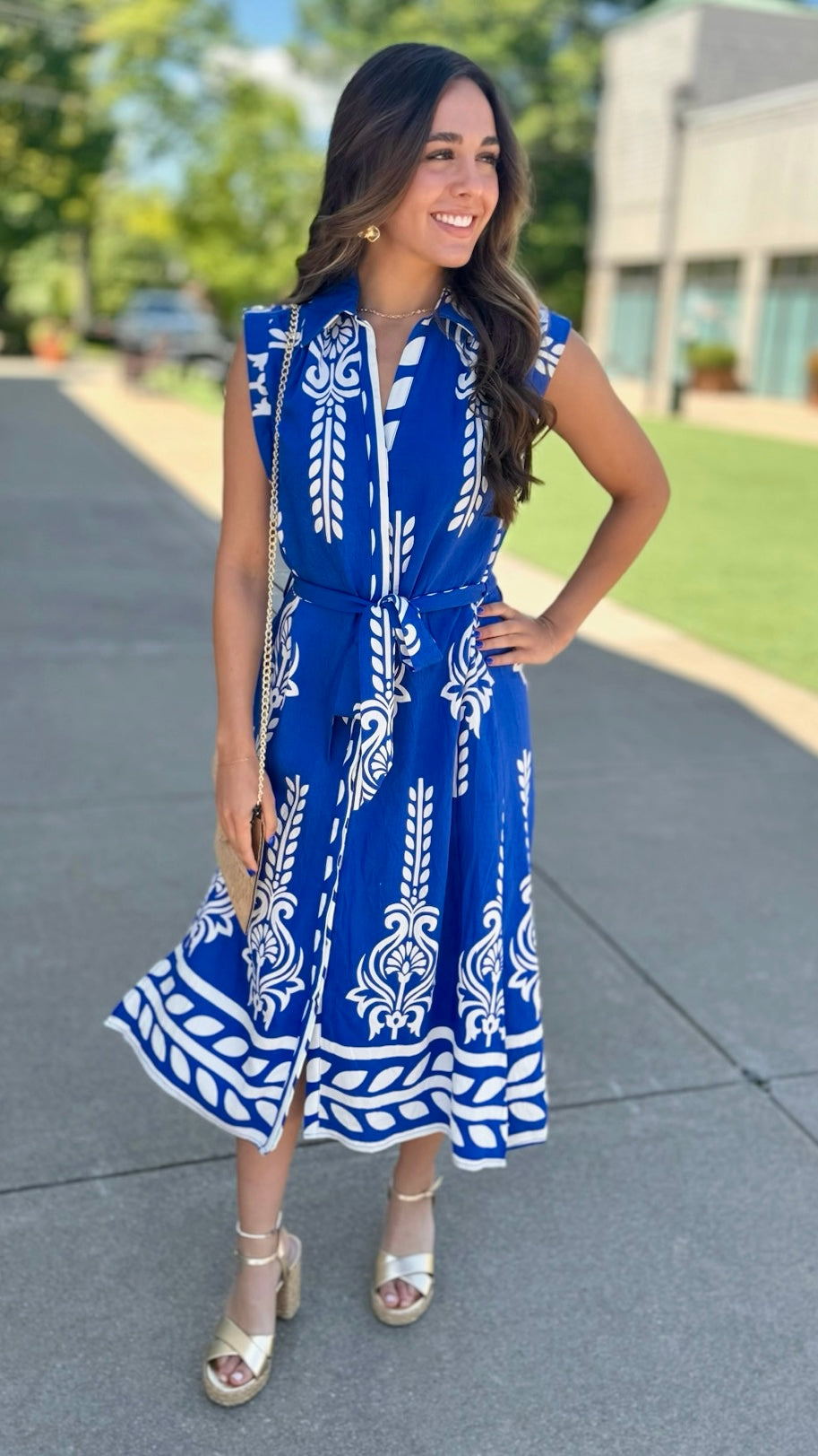 Wildcat Abstract Dress - Cobalt