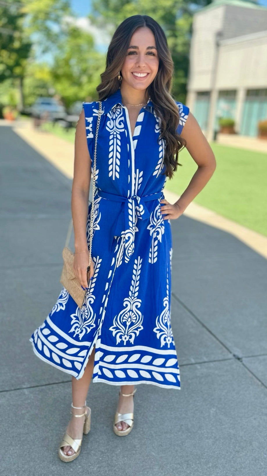 Wildcat Abstract Dress - Cobalt