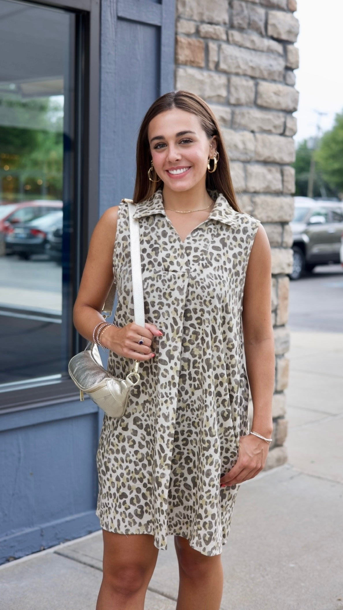 Amber Cheetah V Neck Denim Dress