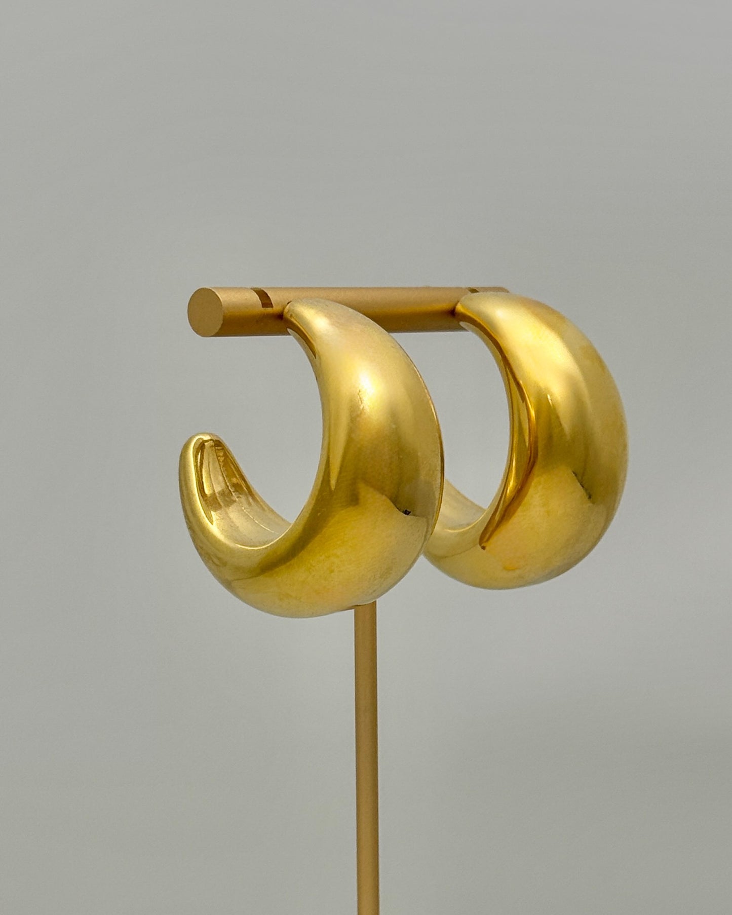 Carissa Hoop Earrings