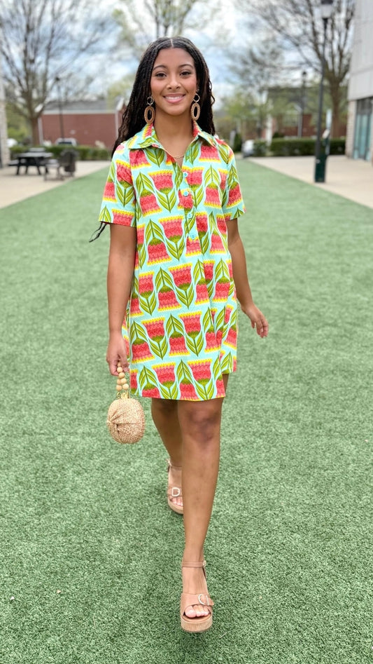 Uncle Frank Swing Shirt Dress - Aqua
