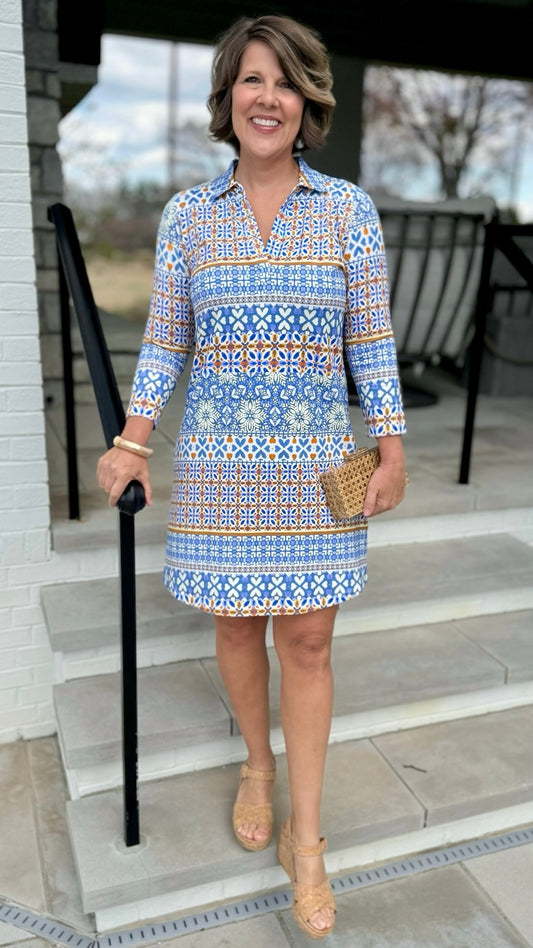 Tyler Boe Johnny Shirt Dress - Blue