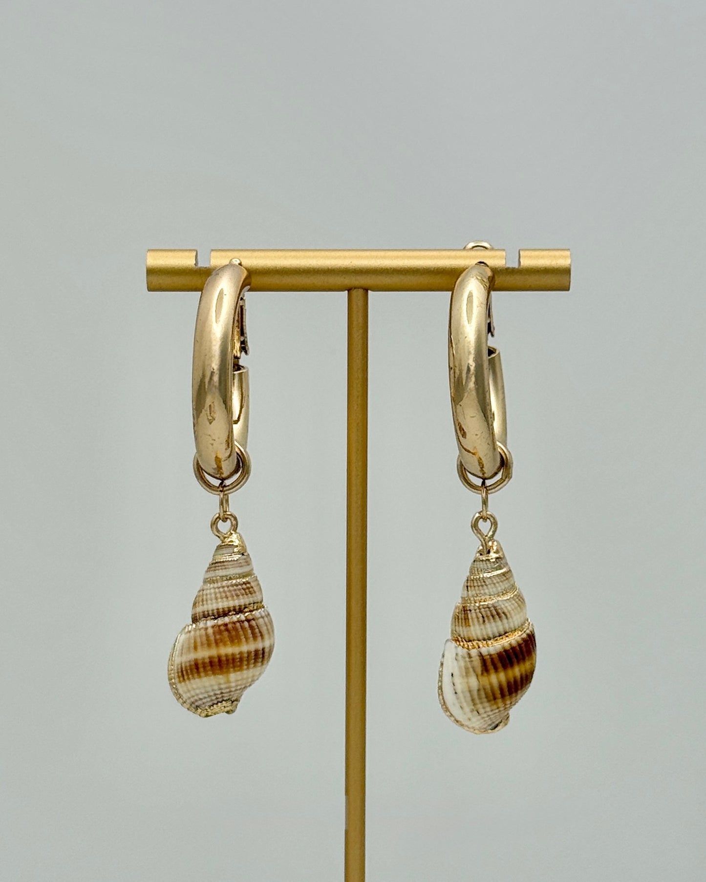 Conch Shell Hoop Earrings