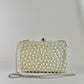 Hand Beaded Silver Pearl Clutch/ Crossbody