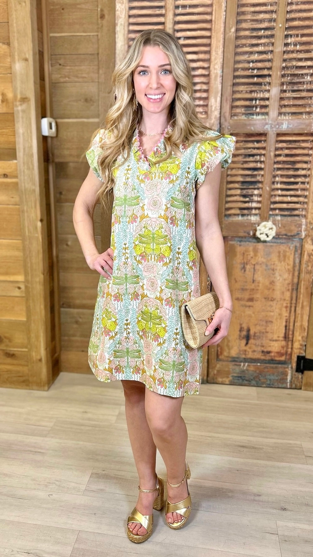 Ivy Jane Dragonfly Dress - Multi
