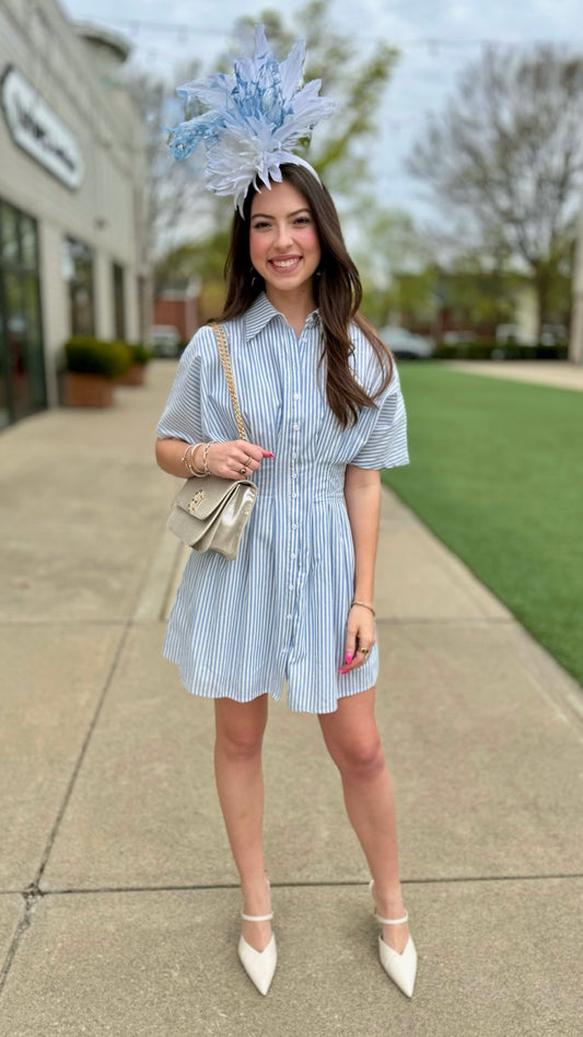 Audrey Pleated Mini Shirt Dress - Blue Stripe