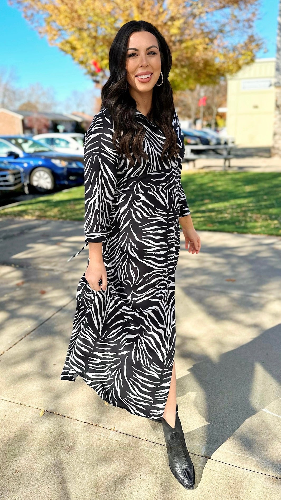 The Tellier Zebra Stripe Maxi Dress