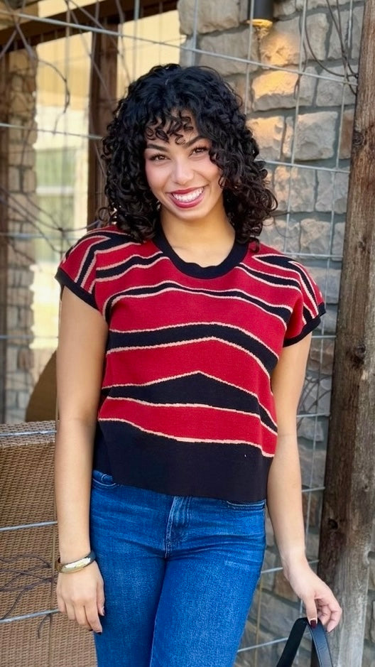 Celina Short Sleeve Sweater