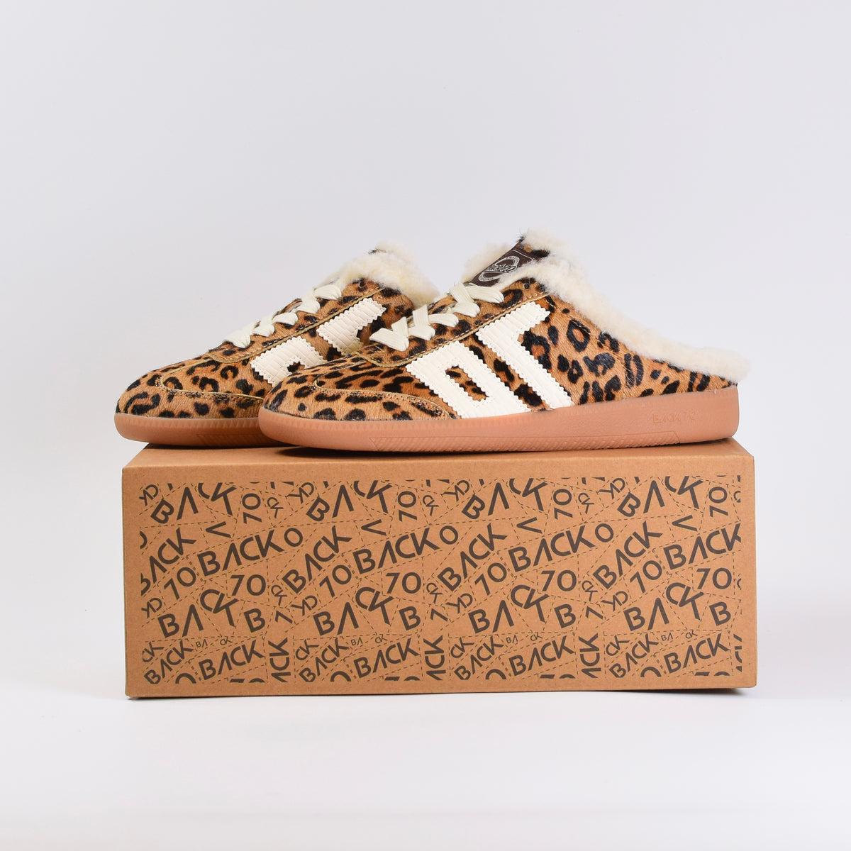 Back 70 aster FL  - Leopard