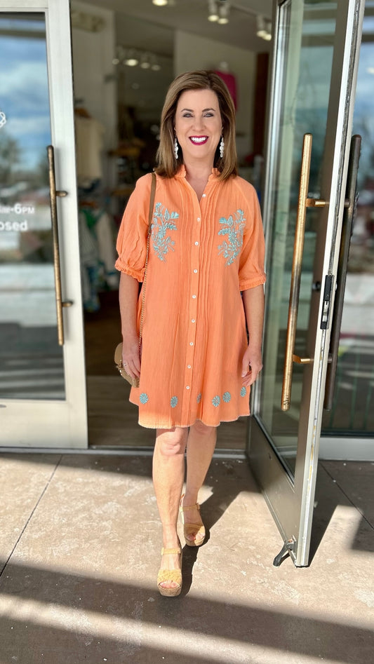 Ivy Jane Picture Day Dress - Coral