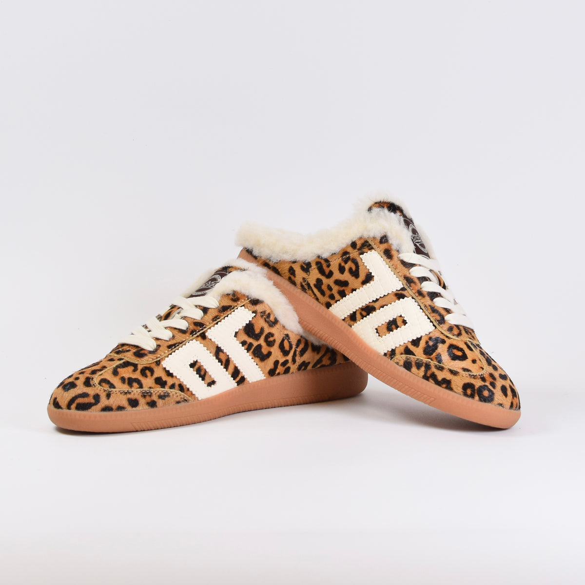 Back 70 aster FL  - Leopard