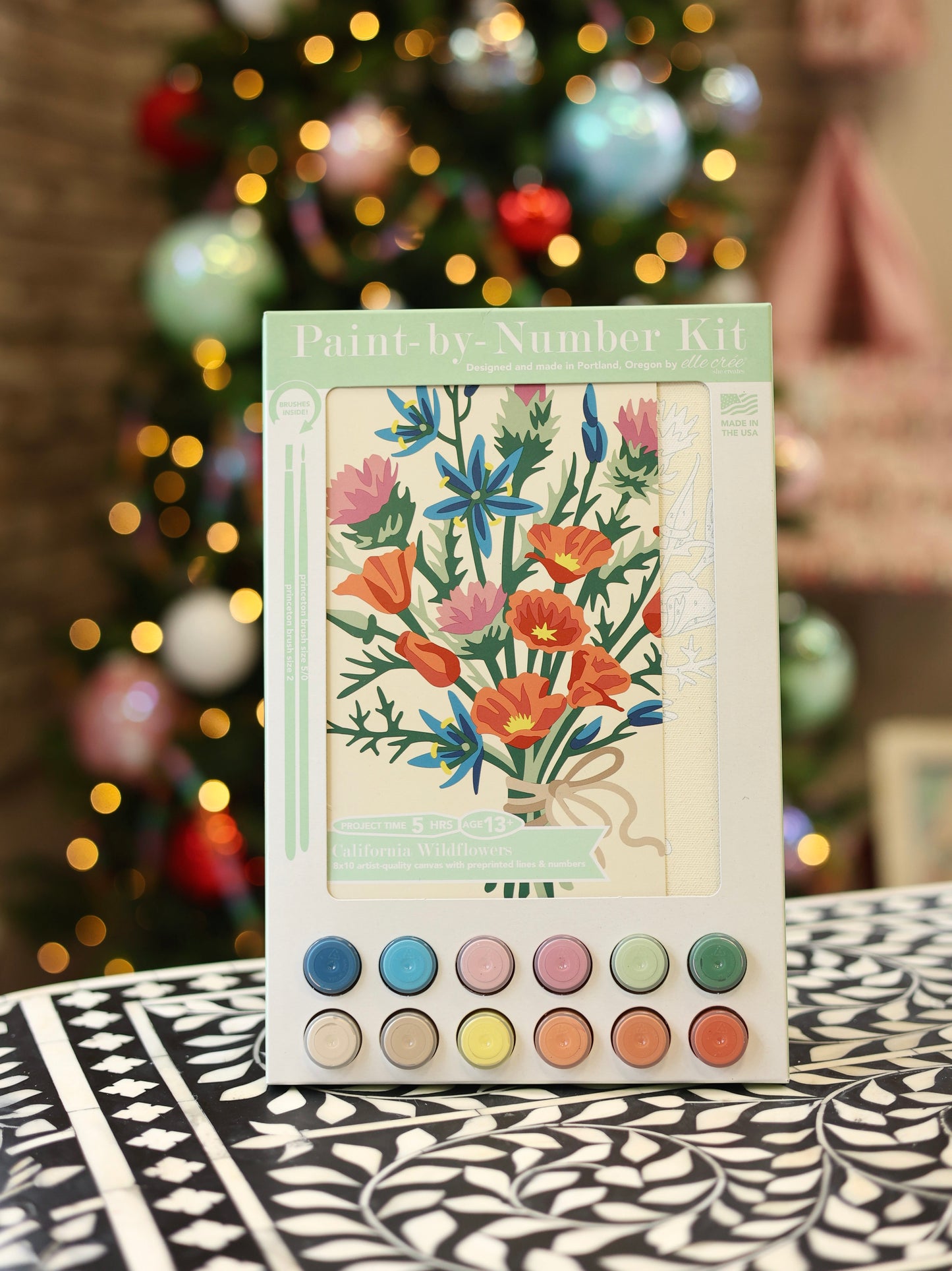 California Wildflowers Paint-By-Number