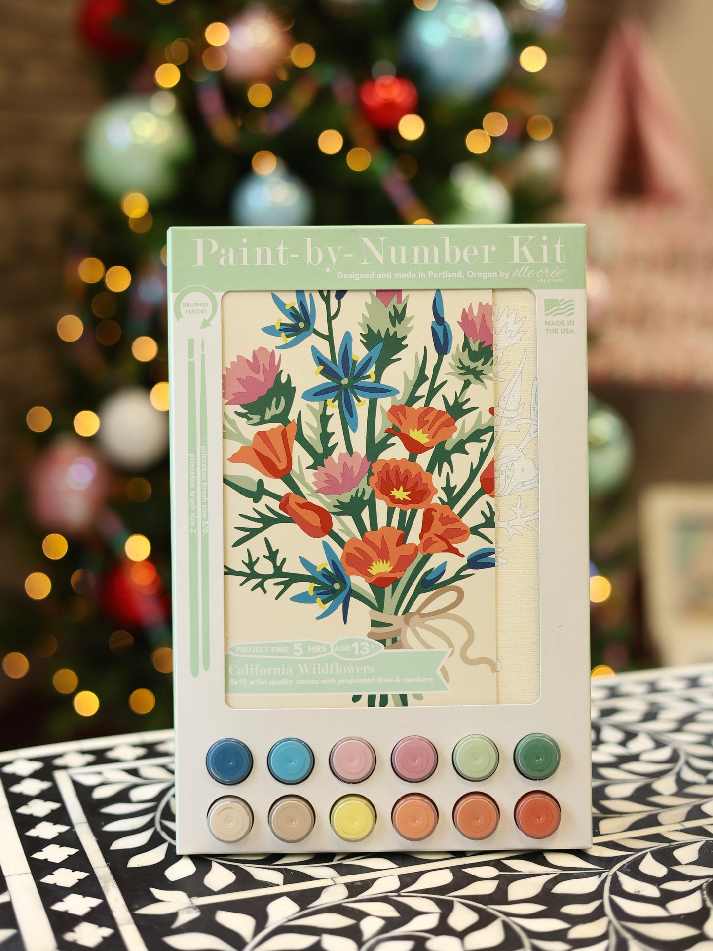 California Wildflowers Paint-By-Number