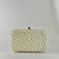 Hand Beaded Silver Pearl Clutch/ Crossbody