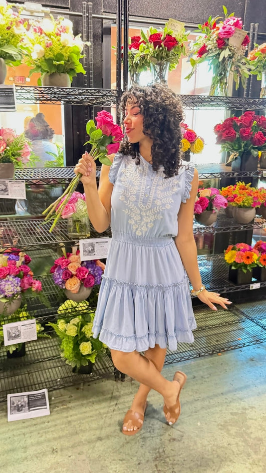 Dear John Narissa Dress - Carolina Blue