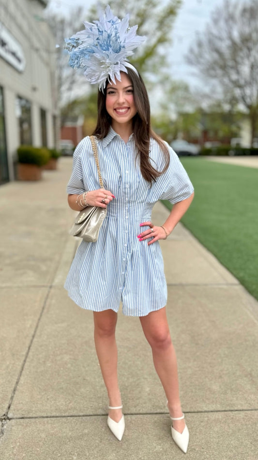Audrey Pleated Mini Shirt Dress - Blue Stripe