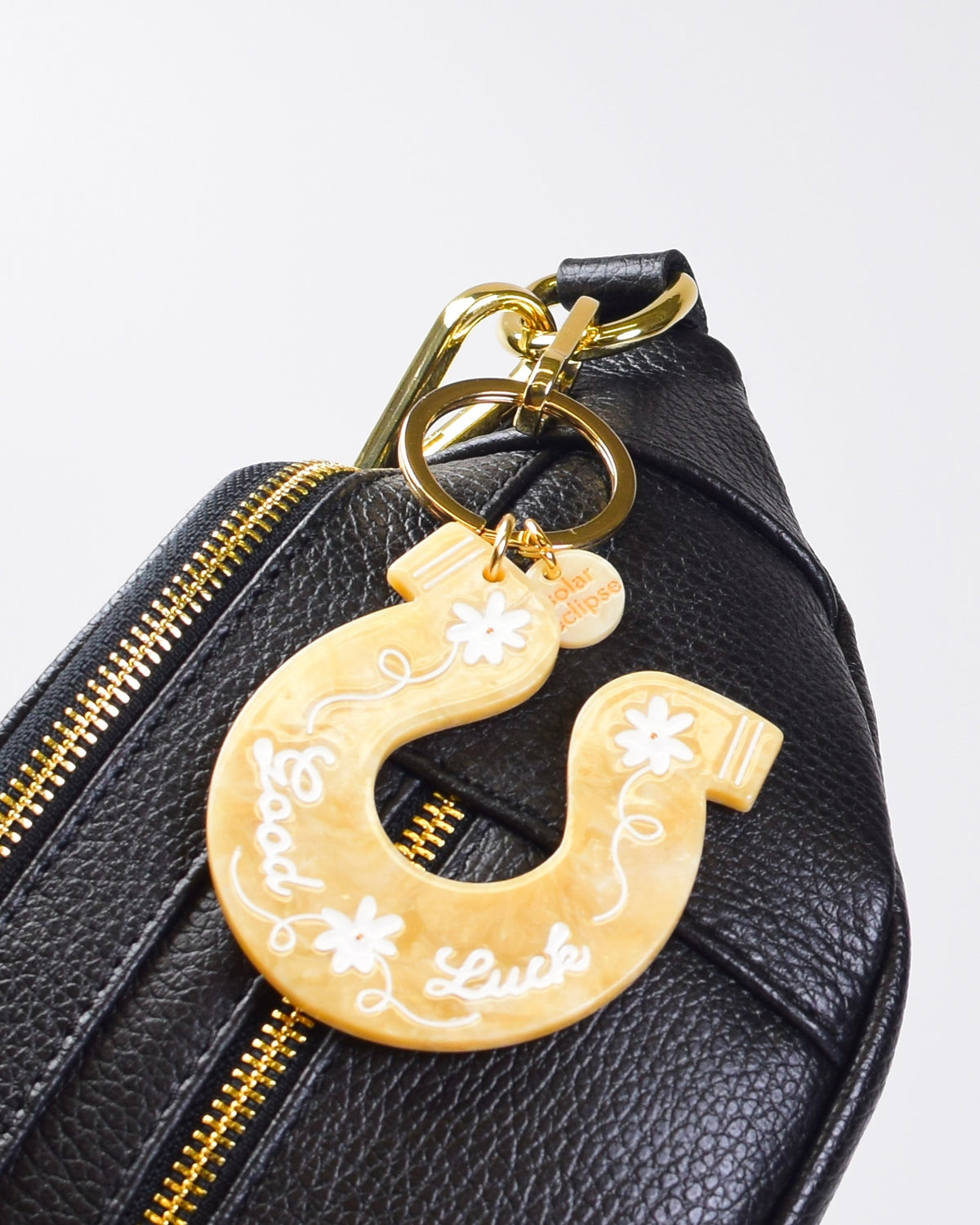 Hand-Painted Good Luck Horseshoe Keychain