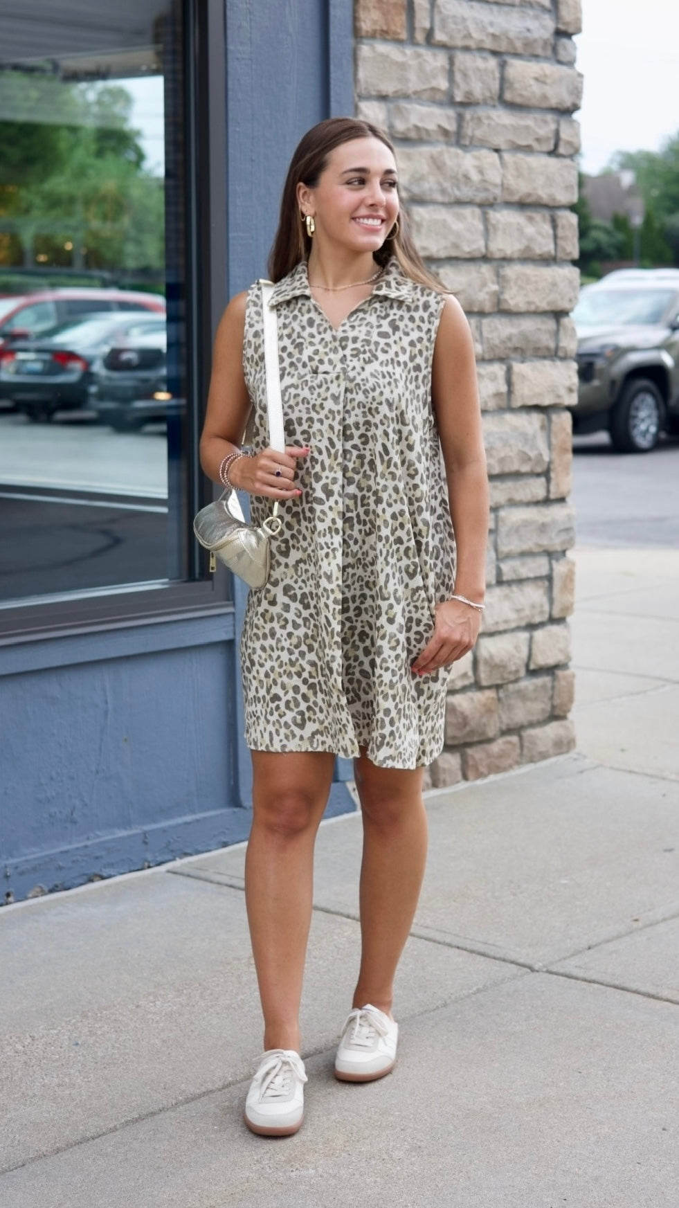 Amber Cheetah V Neck Denim Dress