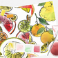 Citrus Fruits Watercolor Painting Kit