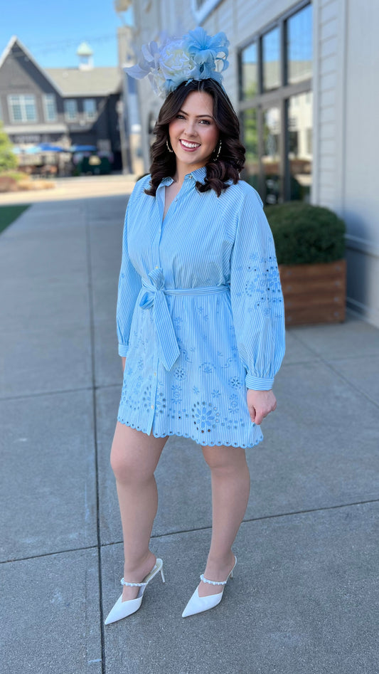 Blue Eyelet Pinstripe Shirt Dress