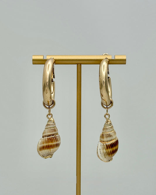 Conch Shell Hoop Earrings