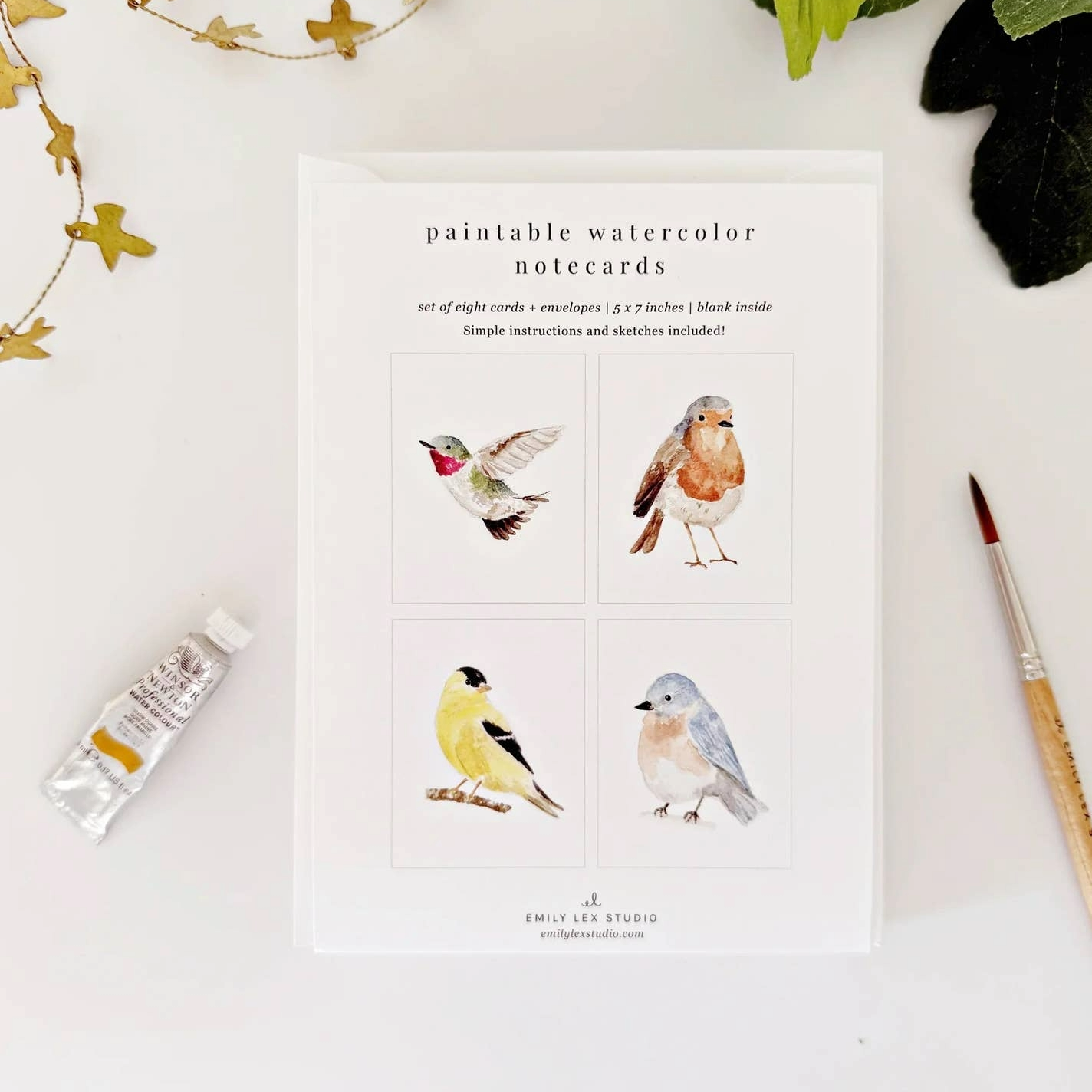 Birds Paintable Watercolor Notecard Set