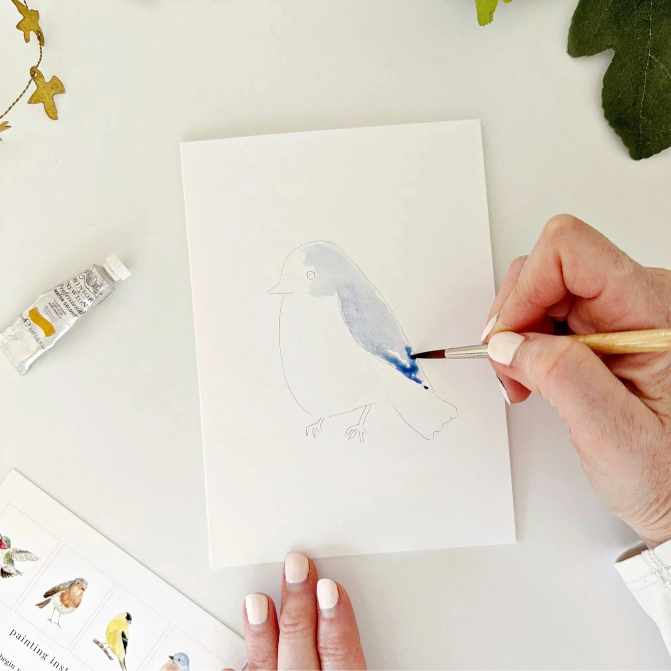 Birds Paintable Watercolor Notecard Set