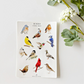 Bird Sticker Sheets