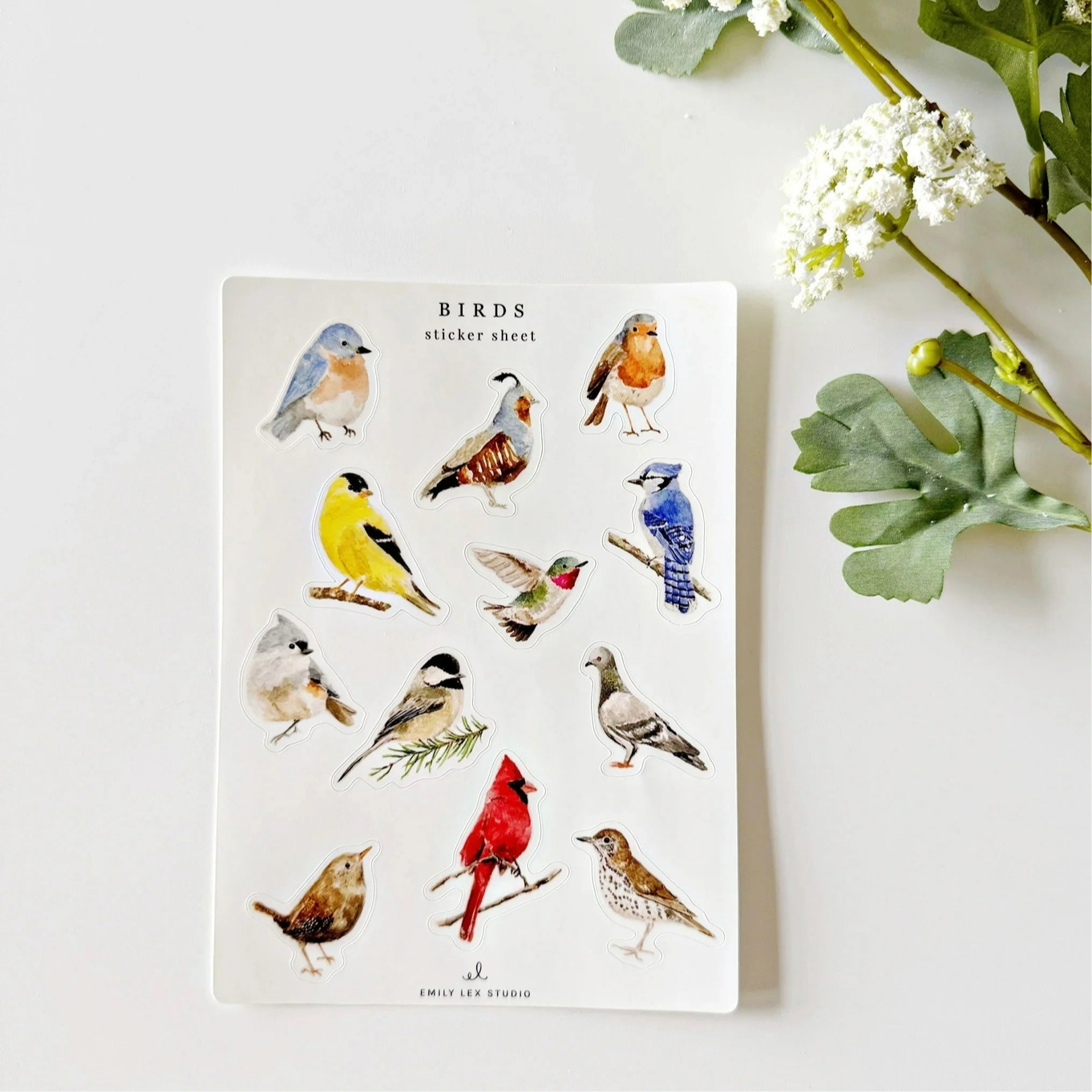 Bird Sticker Sheets