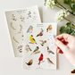 Bird Sticker Sheets