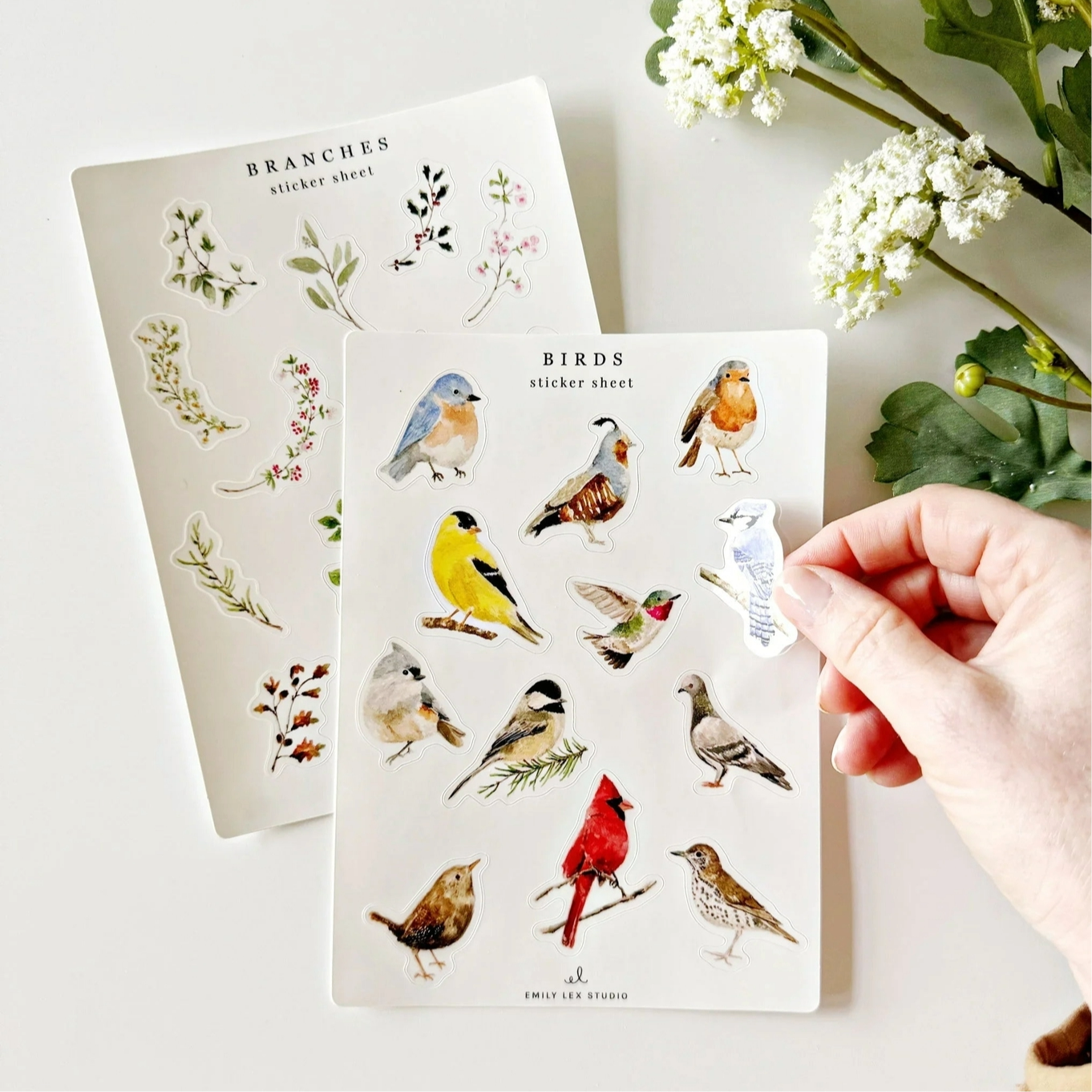 Bird Sticker Sheets
